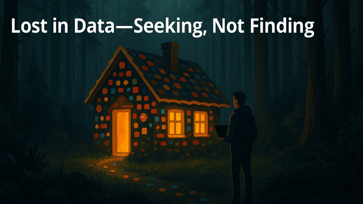 Lost in Data—Seeking, Not Finding 